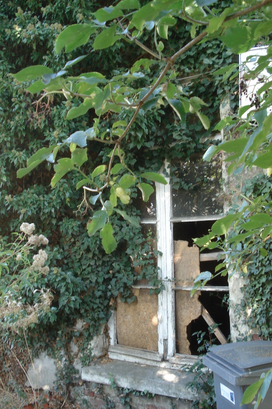 montdepiete 2010 124.resized.jpg